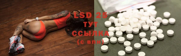дмт Верея