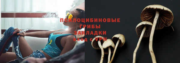 дмт Верея