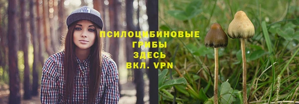 дмт Верея