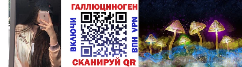дарнет шоп  Черняховск  Галлюциногенные грибы Cubensis 