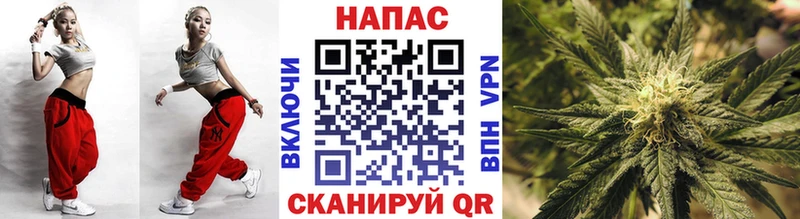 Бошки Шишки OG Kush закладка Черняховск
